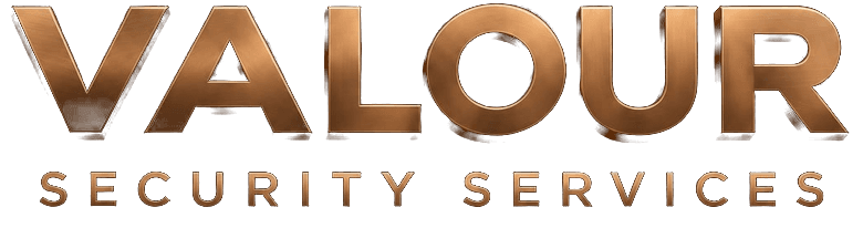 Valour Security Services